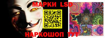 шишки Будённовск