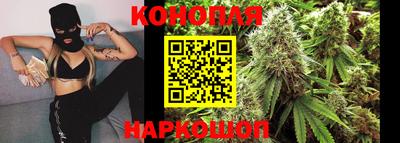 шишки Будённовск