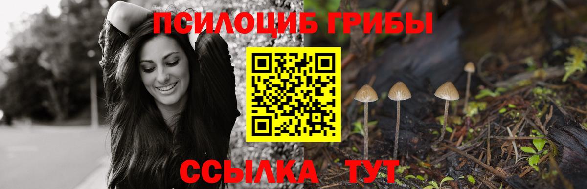 Псилоцибиновые грибы Magic Shrooms Железноводск